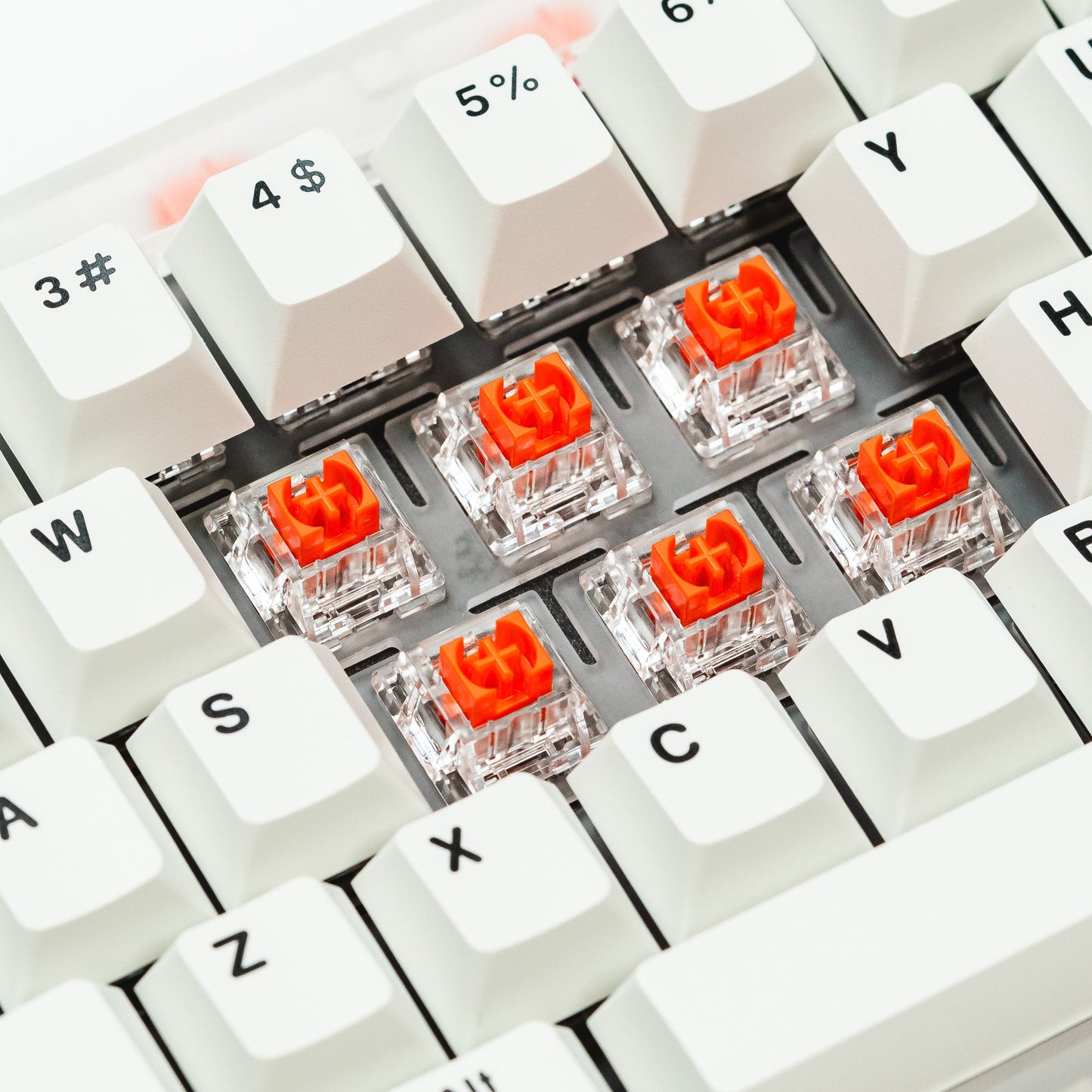 SALMON Tactile Switch 55g by Press Play
