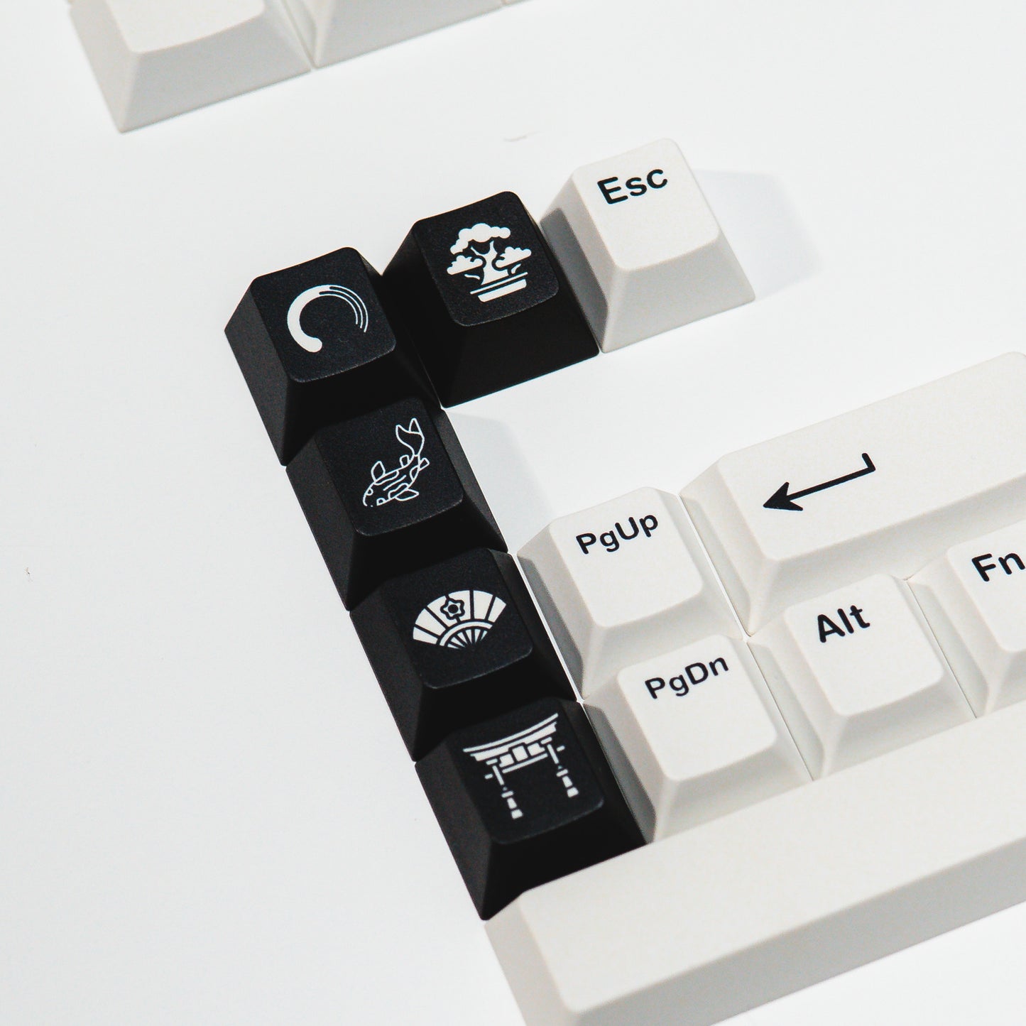 PPBT SHIRAKAWA ALT PBT Dye Sub Keycap Set Japanese Root