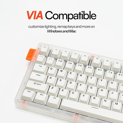 ESSENTIAL75W 75% Wireless Mechanical Keyboard